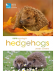 RSPB Spotlight Hedgehogs - 9781472950086-thumb