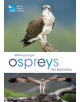 RSPB Spotlight Ospreys - 9781472956033-thumb