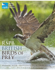 RSPB British Birds of Prey - 9781472965806-thumb