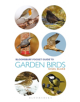 Pocket Guide To Garden Birds - 9781472966117-thumb