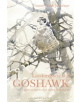 Looking for the Goshawk - 9781472969170-thumb