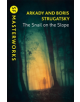 The Snail on the Slope - 9781473228283-thumb