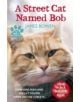 A Street Cat Named Bob - 9781473633360-thumb