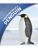 A Day in the Life of a Penguin - 9781474758659-thumb