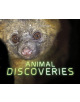 Animal Discoveries - 9781474759724-thumb