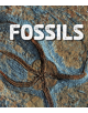 Fossils - 9781474760249-thumb