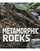 Metamorphic Rocks - 9781474760263-thumb