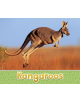 Kangaroos - 9781474760454-thumb