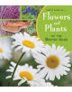 Flowers and Plants of the British Isles - 9781474763905-thumb