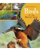 Birds of the British Isles - 9781474763936-thumb