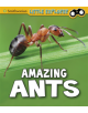 Amazing Ants - 9781474770569-thumb