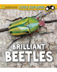 Brilliant Beetles - 9781474770583-thumb