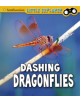 Dashing Dragonflies - 9781474770606-thumb