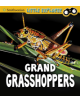 Grand Grasshoppers - 9781474770613-thumb