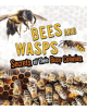 Bees and Wasps - 9781474770989-thumb