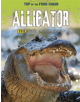 Alligator - 9781474777988-thumb