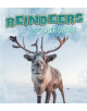 Reindeer Are Awesome - 9781474786300-thumb