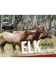 2016 Elk Calendar - 9781493016433-thumb