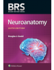 BRS Neuroanatomy - 9781496396181-thumb