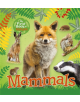 My First Book of Nature: Mammals - 9781526301482-thumb