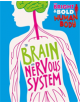 The Bright and Bold Human Body: The Brain and Nervous System - 9781526310408-thumb