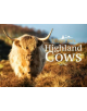 Villager Jim's Highland Cows - 9781526706836-thumb