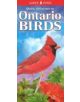 Quick Reference to Ontario Birds - 9781551058931-thumb