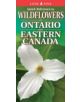 Quick Reference to Wildflowers of Ontario and Eastern Canada - 9781551059082-thumb