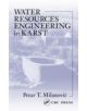 Water Resources Engineering in Karst - 9781566706711-thumb