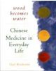 Wood Becomes Water: Chinese Medicine In Everyday Life - 9781568362090-thumb