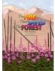 The Fire That Saved the Forest - 9781570984211-thumb