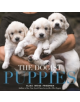 Dogist Puppies, The - 9781579657437-thumb