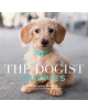 The Dogist Puppies - 9781579658694-thumb