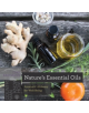 Nature's Essential Oils - 9781581574593-thumb