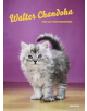 Walter Chandoha: The Cat Photographer - 9781597114530-thumb