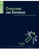 Cybercrime and Espionage - 9781597496131-thumb