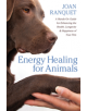 Energy Healing for Animals - 9781604076714-thumb