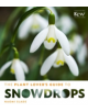 Plant Lover's Guide to Snowdrops - 9781604694352-thumb