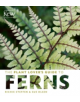 Plant Lover's Guide to Ferns - 9781604694741-thumb