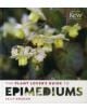 Plant Lover's Guide to Epimediums - 9781604694758-thumb