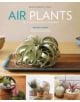 Air Plants: The Curious World of Tillandsias - 9781604694895-thumb