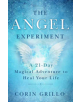 The Angel Experiment - 9781608686254-thumb