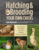 Hatching and Brooding Your Own Chicks - 9781612120140-thumb