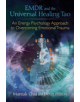 EMDR and the Universal Healing Tao - 9781620555514-thumb