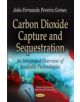 Carbon Dioxide Capture & Sequestration - 9781622571871-thumb