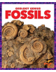 Fossils - 9781624968273-thumb