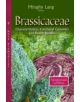 Brassicaceae - 9781628088564-thumb