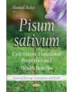 Pisum sativum - 9781634632300-thumb