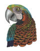 Tangleeasy Lined Journal Parrot - 9781641780117-thumb