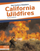 21st Century Disasters: California Wildfires - 9781641857369-thumb